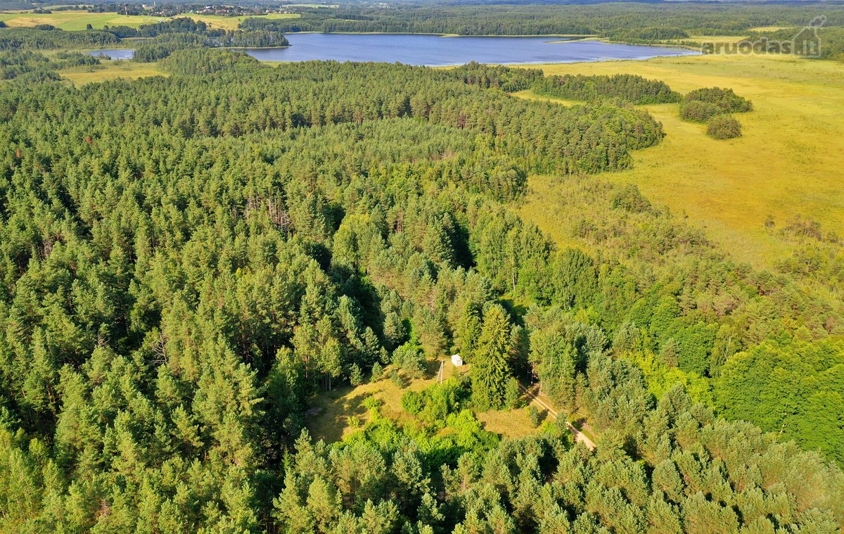 Zarasų rajone, Gailiutiškės vienkiemyje, - nuotraukos Nr. 14