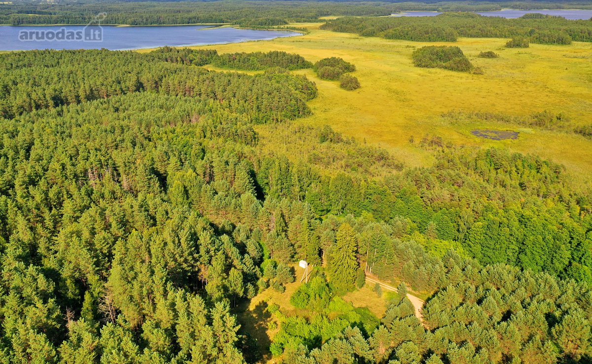 Zarasų rajone, Gailiutiškės vienkiemyje, - nuotraukos Nr. 16