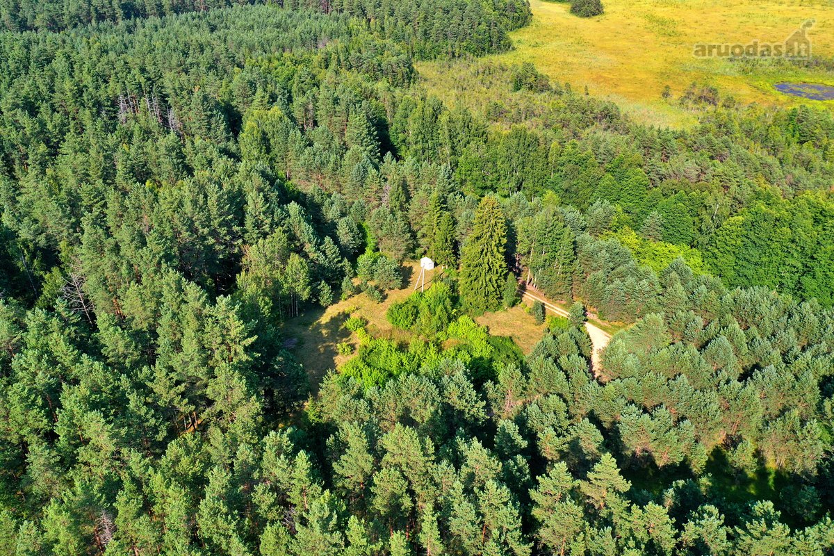 Zarasų rajone, Gailiutiškės vienkiemyje, - nuotraukos Nr. 17