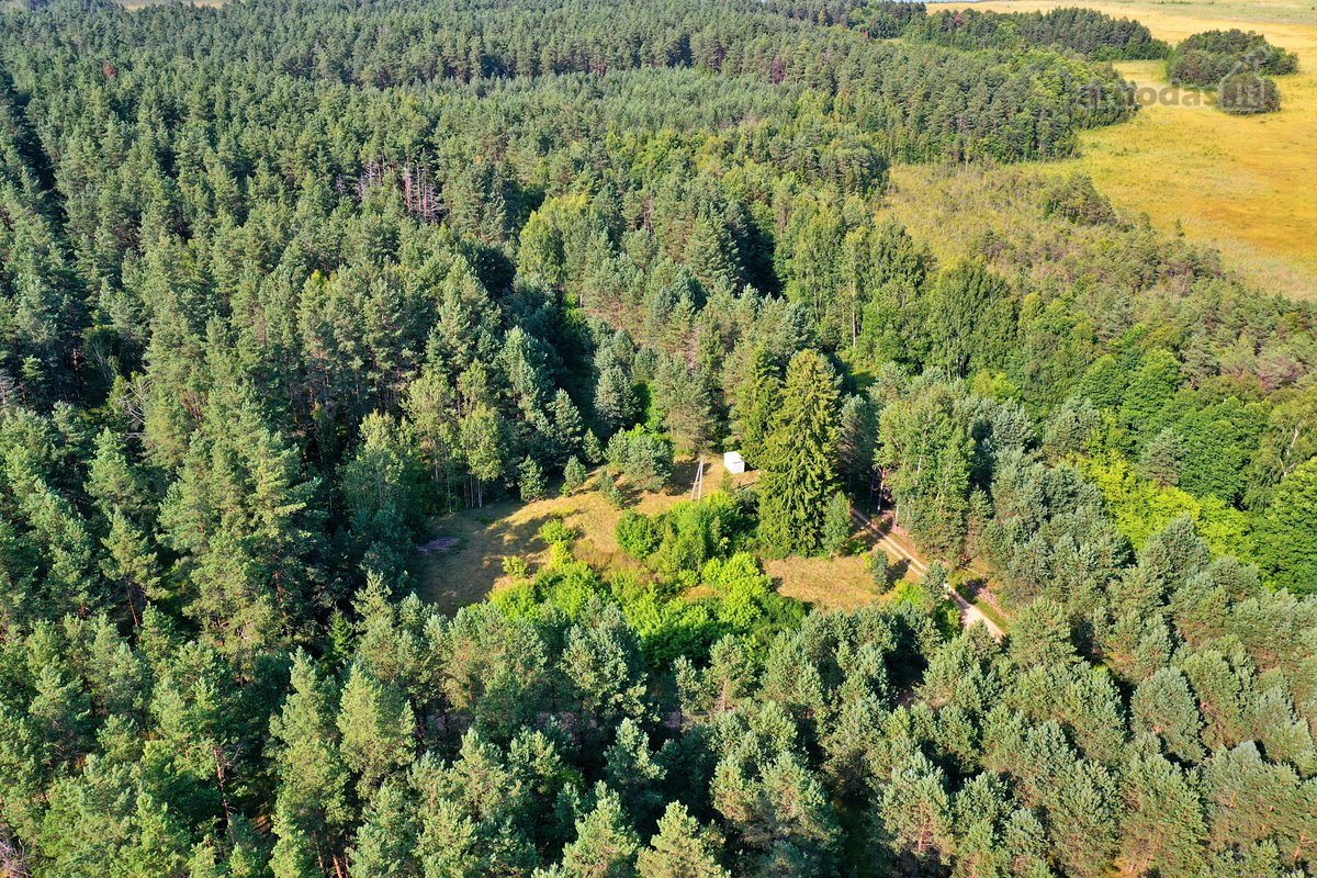 Zarasų rajone, Gailiutiškės vienkiemyje, - nuotraukos Nr. 18
