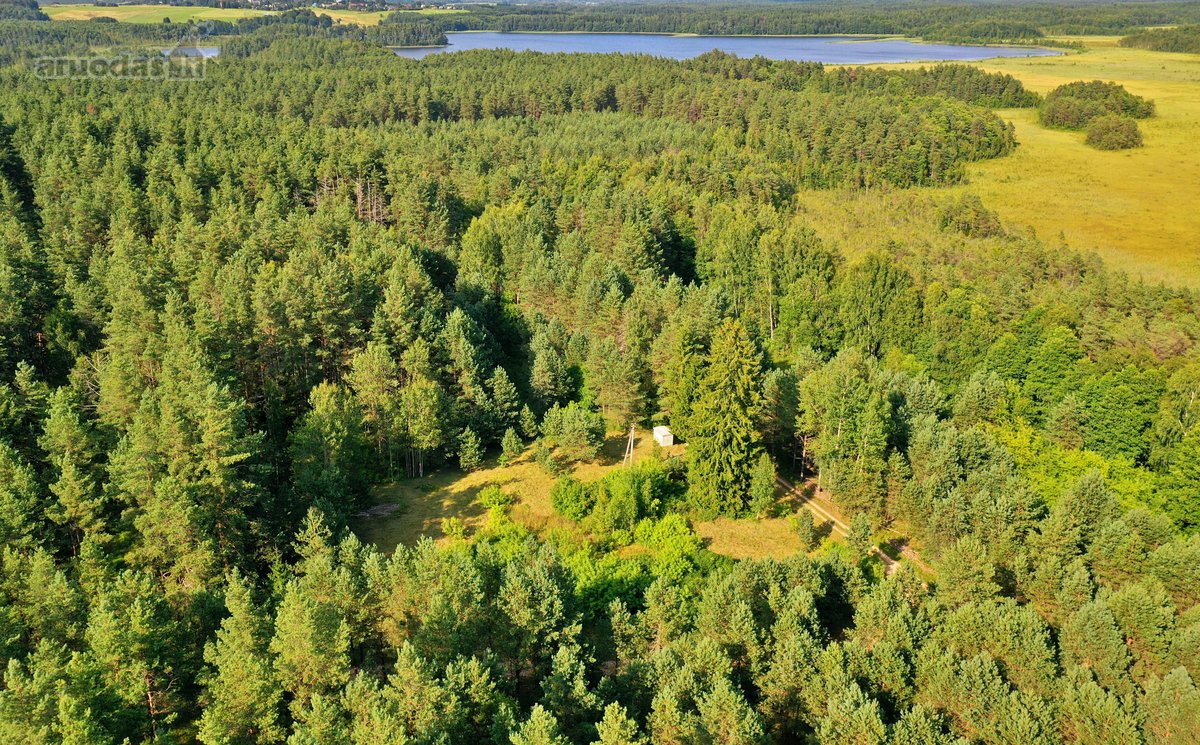 Zarasų rajone, Gailiutiškės vienkiemyje, - nuotraukos Nr. 19