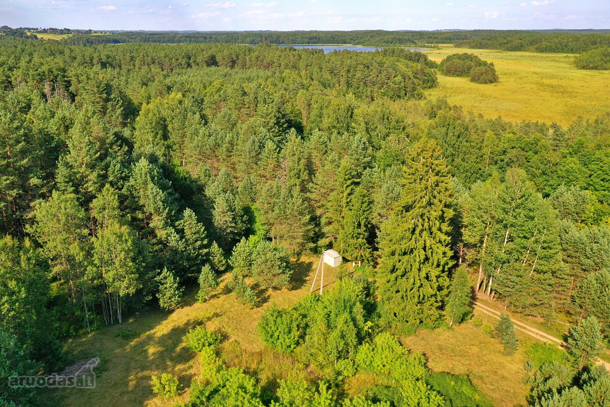 Zarasų rajone, Gailiutiškės vienkiemyje, - nuotraukos Nr. 21