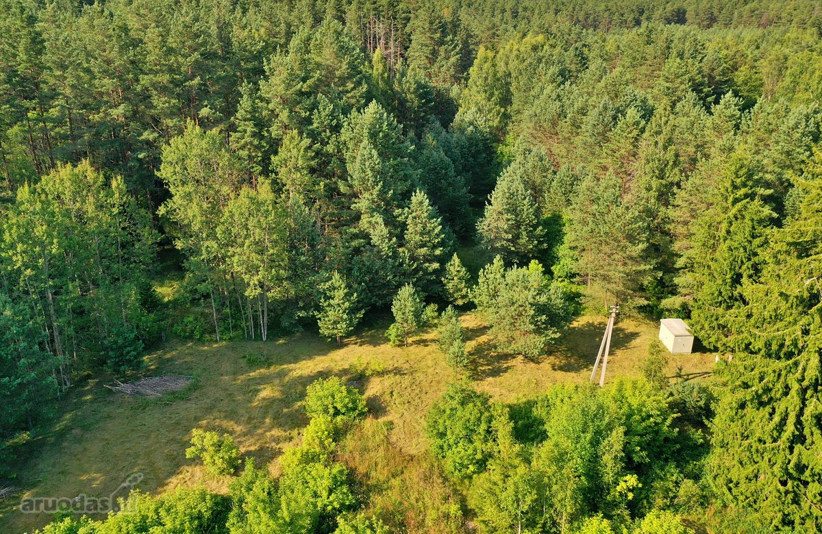 Zarasų rajone, Gailiutiškės vienkiemyje, - nuotraukos Nr. 22