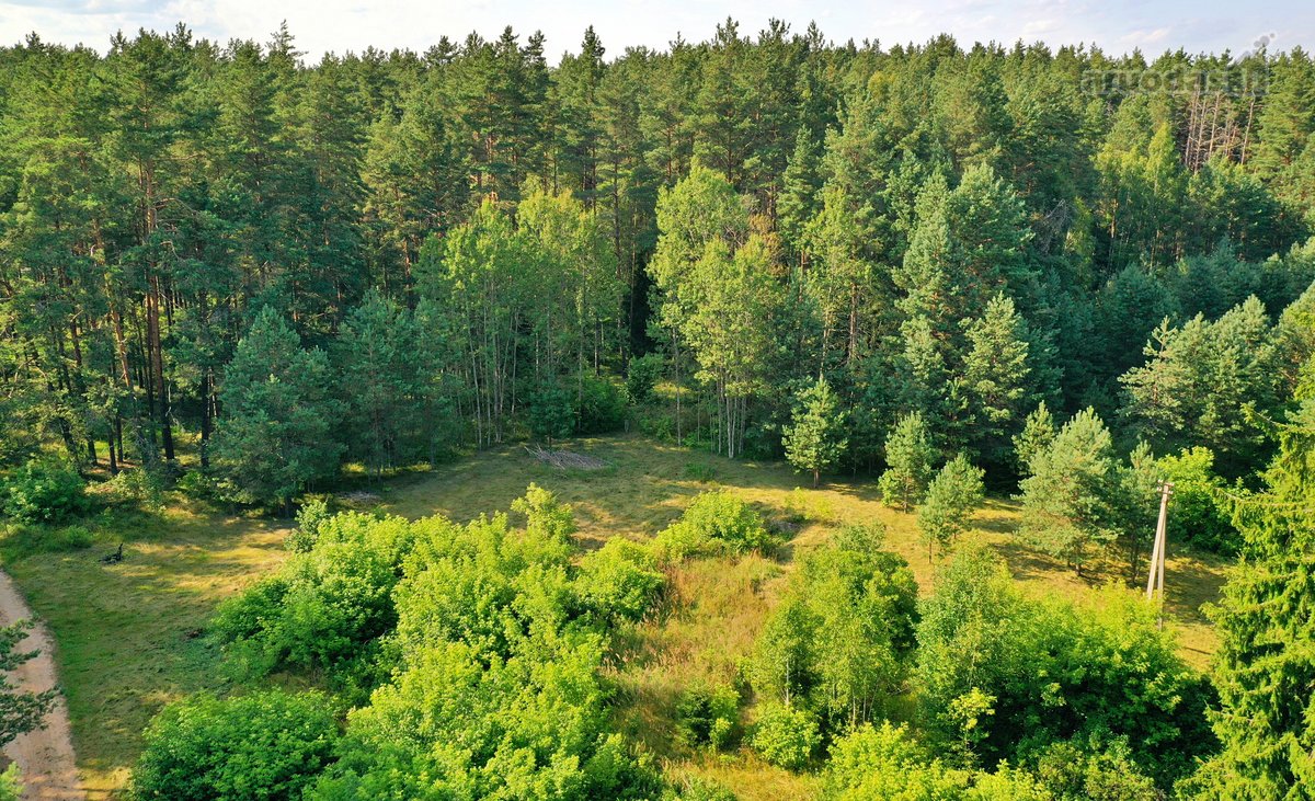 Zarasų rajone, Gailiutiškės vienkiemyje, - nuotraukos Nr. 23