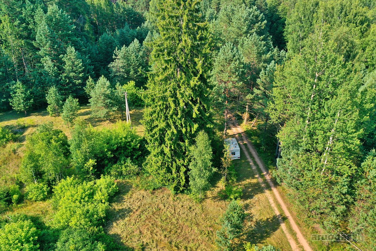 Zarasų rajone, Gailiutiškės vienkiemyje, - nuotraukos Nr. 24