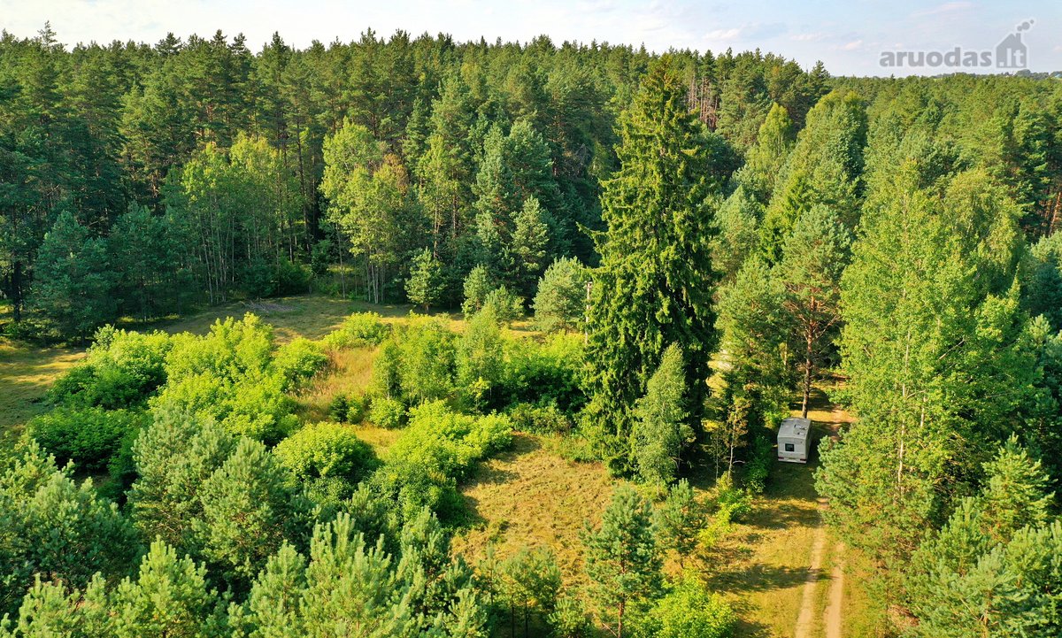 Zarasų rajone, Gailiutiškės vienkiemyje, - nuotraukos Nr. 25