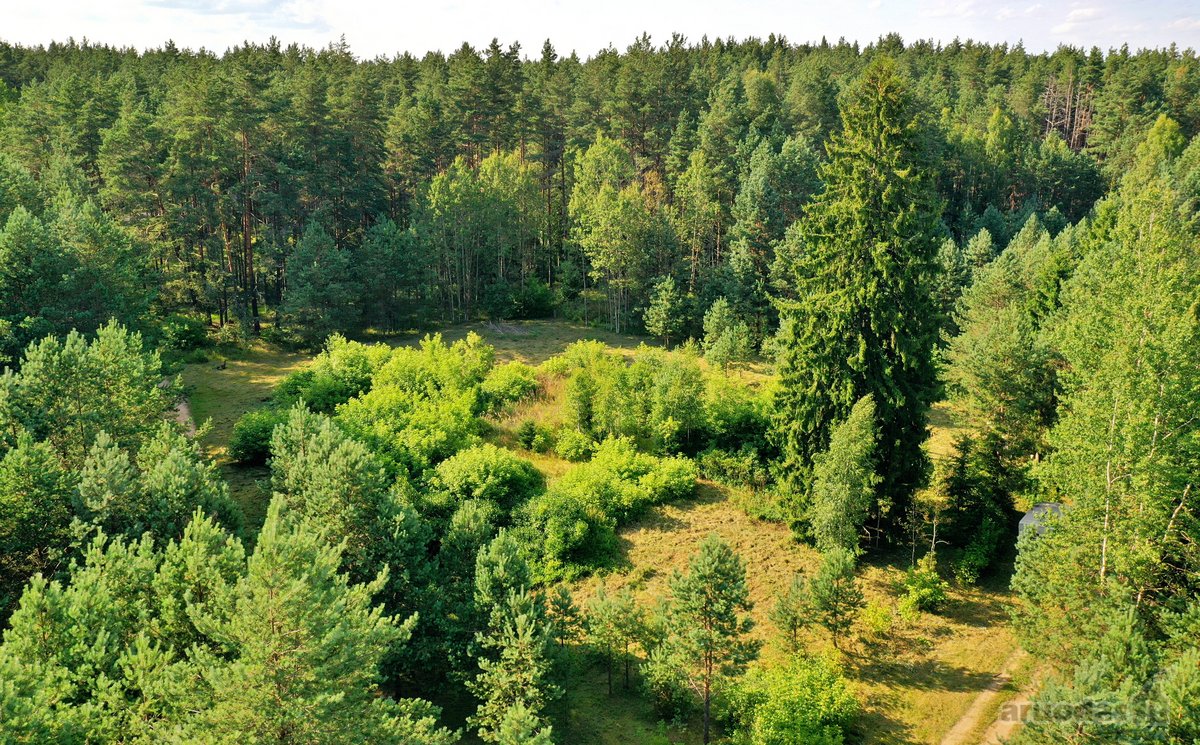 Zarasų rajone, Gailiutiškės vienkiemyje, - nuotraukos Nr. 26