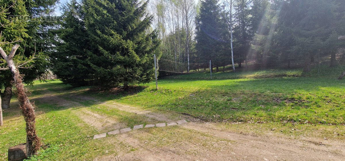 Rietavo savivaldybės Panavadžio kaime - nuotraukos Nr. 13