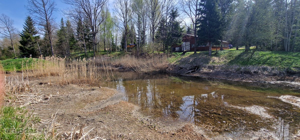 Rietavo savivaldybės Panavadžio kaime - nuotraukos Nr. 15