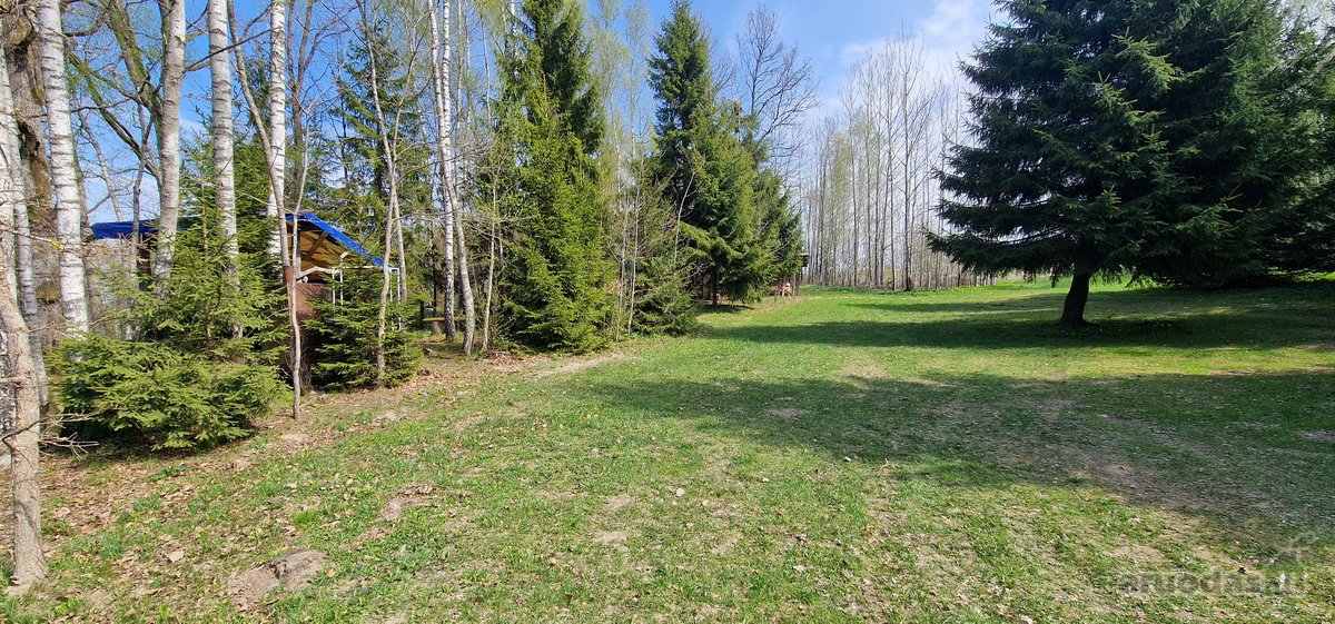Rietavo savivaldybės Panavadžio kaime - nuotraukos Nr. 20
