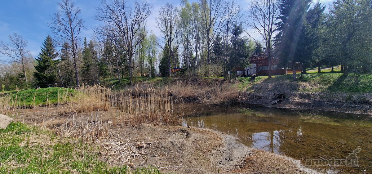 Rietavo savivaldybės Panavadžio kaime - nuotraukos Nr. 22
