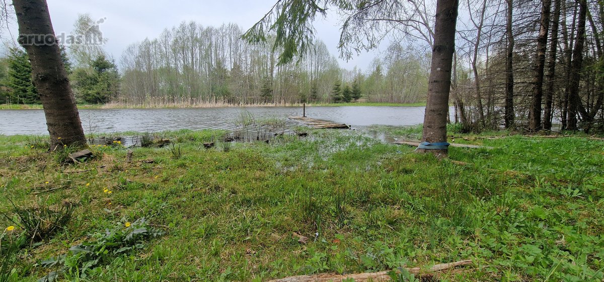 Rietavo savivaldybės Panavadžio kaime - nuotraukos Nr. 33
