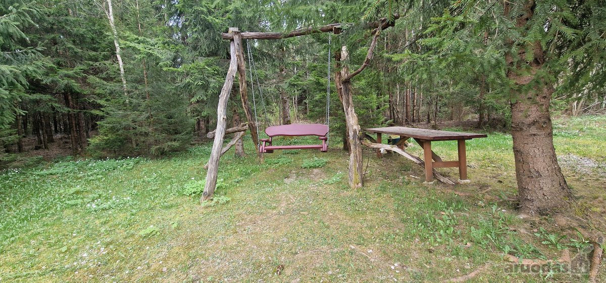 Rietavo savivaldybės Panavadžio kaime - nuotraukos Nr. 42