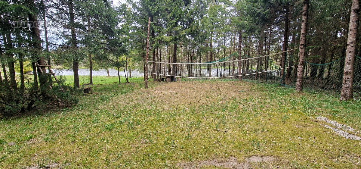 Rietavo savivaldybės Panavadžio kaime - nuotraukos Nr. 43