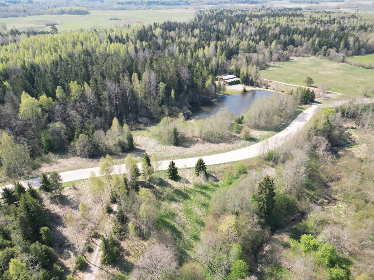 Rietavo savivaldybės Panavadžio kaime - nuotraukos Nr. 62