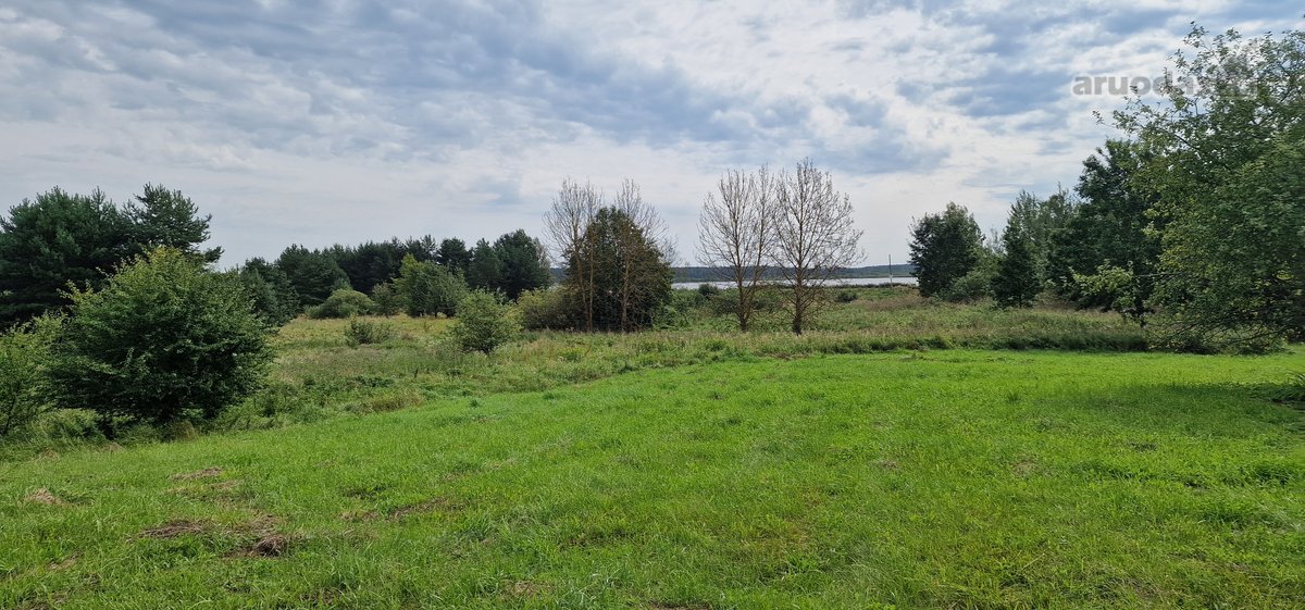 Vilniaus rajone Pabražuolės kaime parduodamas - nuotraukos Nr. 5