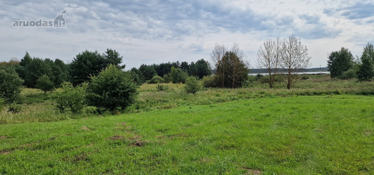 Vilniaus rajone Pabražuolės kaime parduodamas - nuotraukos Nr. 6