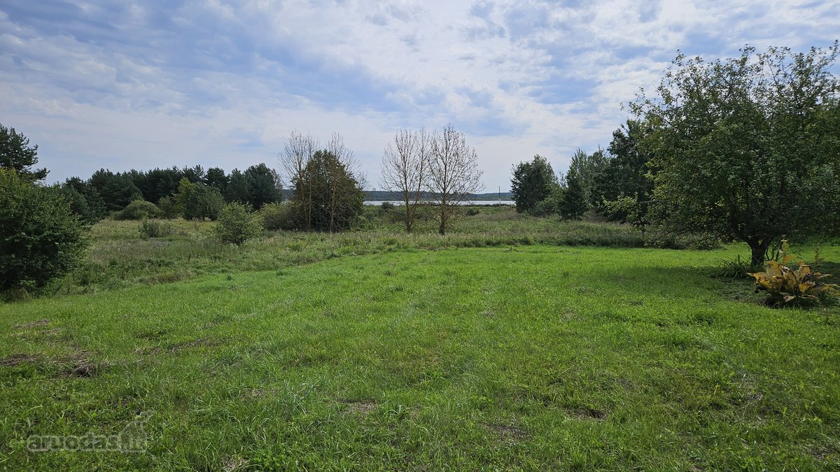 Vilniaus rajone Pabražuolės kaime parduodamas - nuotraukos Nr. 9