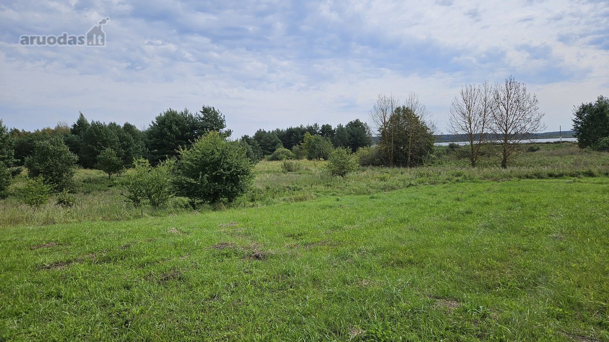 Vilniaus rajone Pabražuolės kaime parduodamas - nuotraukos Nr. 10