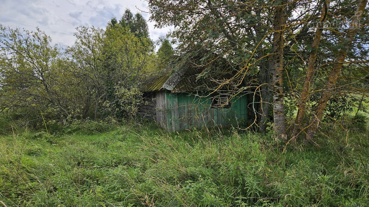 Vilniaus rajone Pabražuolės kaime parduodamas - nuotraukos Nr. 11