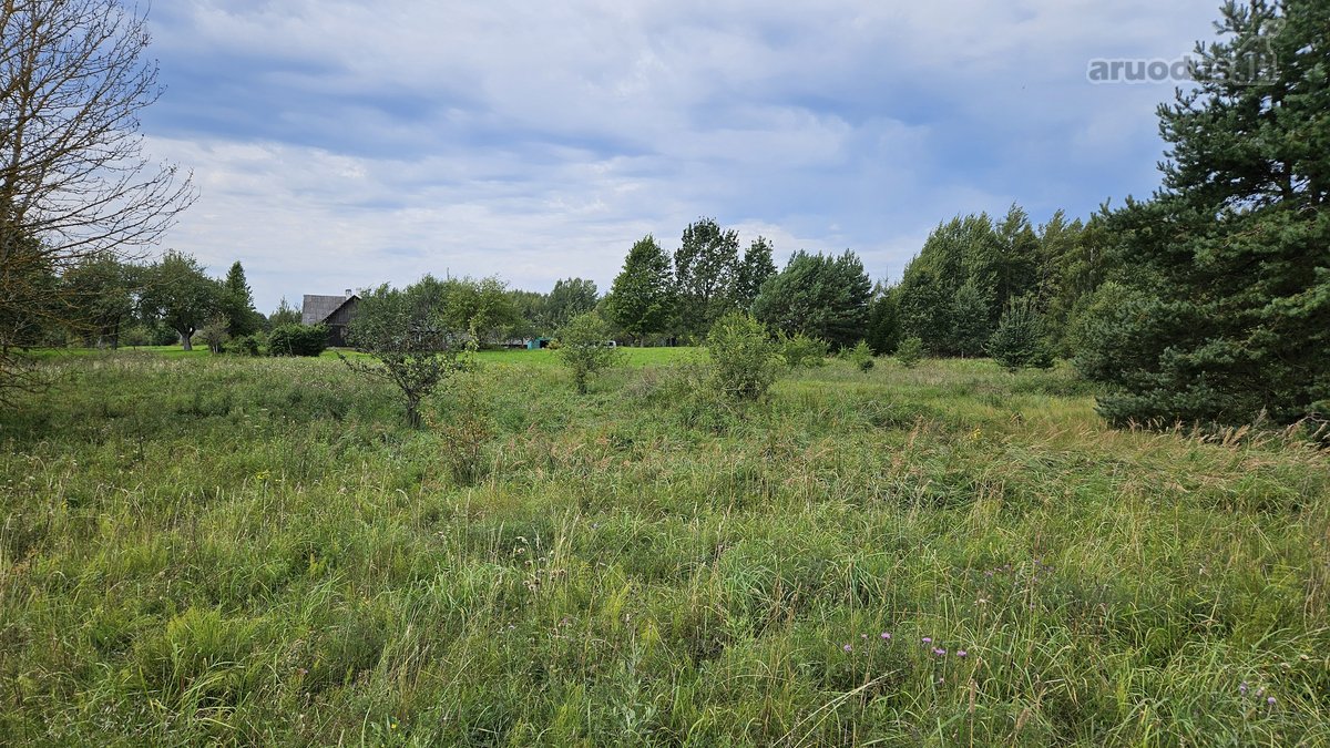 Vilniaus rajone Pabražuolės kaime parduodamas - nuotraukos Nr. 15