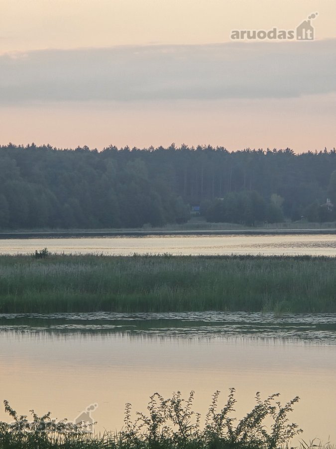 Sala Veisiejo ežere, aplink supa vanduo. Į ją - nuotraukos Nr. 4