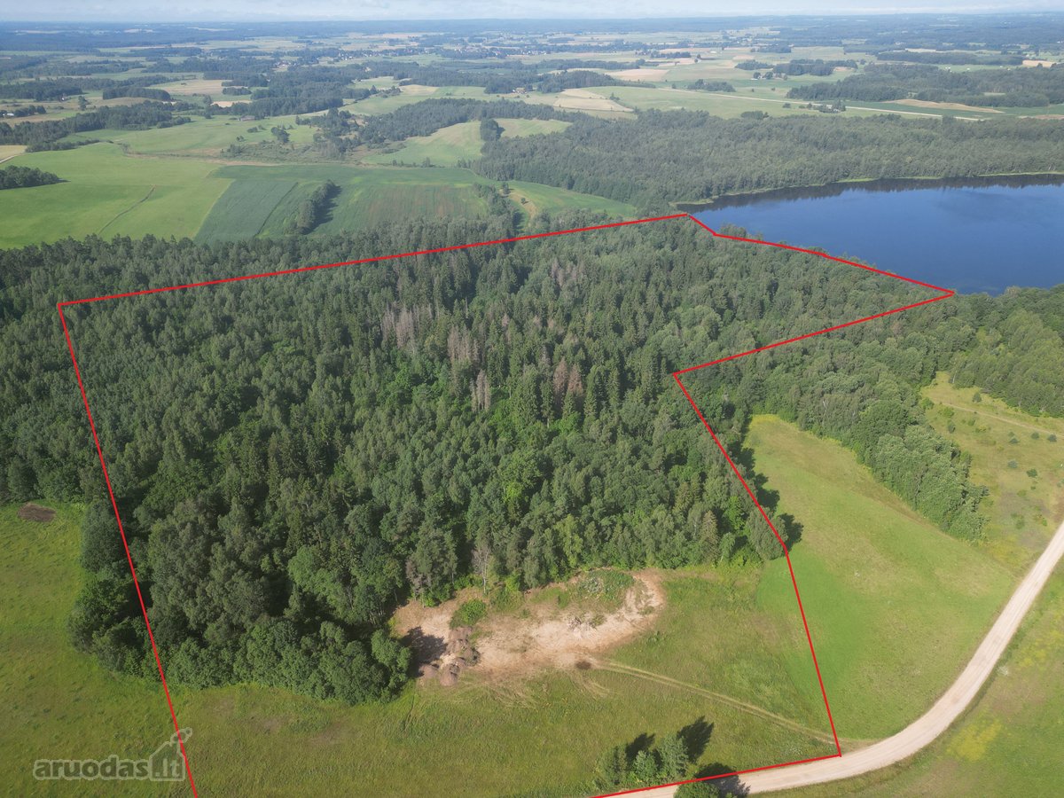 Telšių rajone 13,5 Ha sklypas ant Baltežerio - nuotraukos Nr. 2