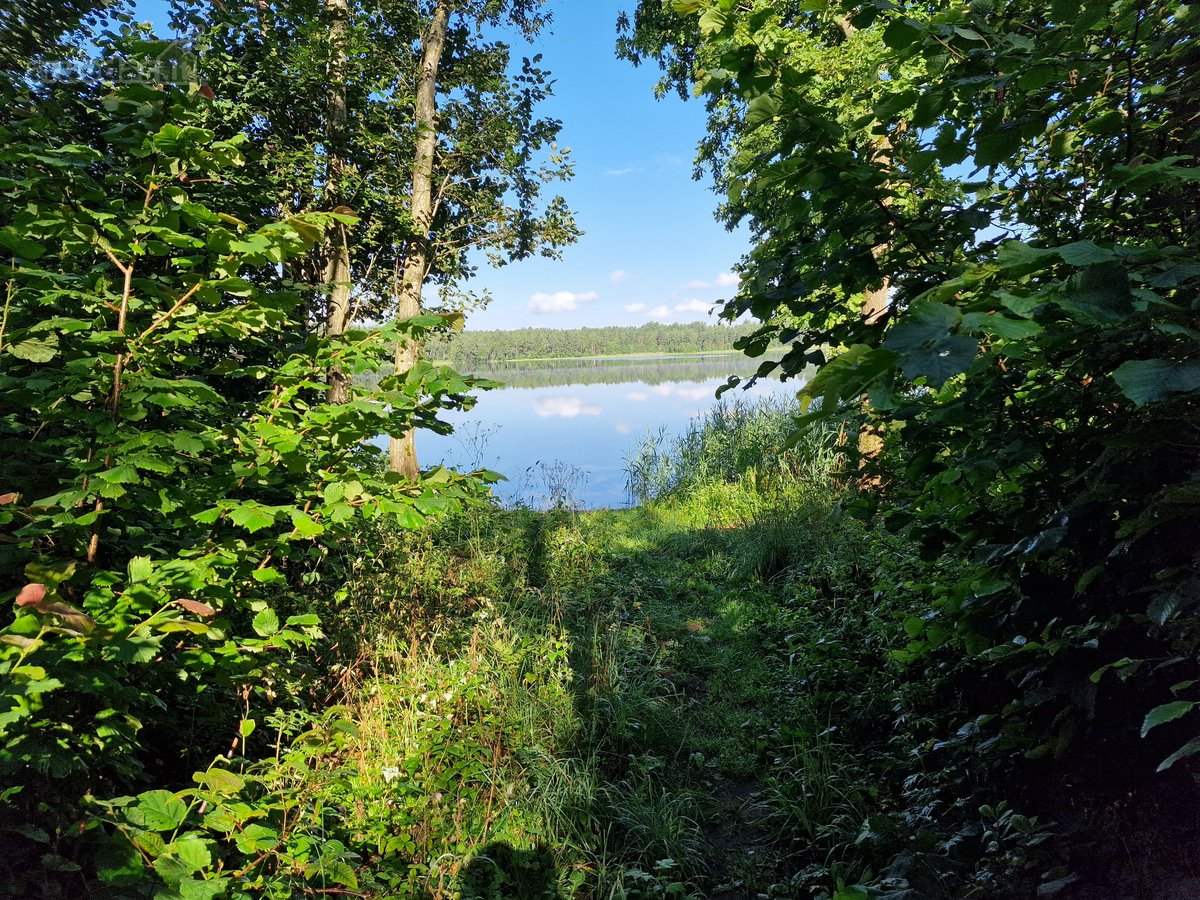 Telšių rajone 13,5 Ha sklypas ant Baltežerio - nuotraukos Nr. 7