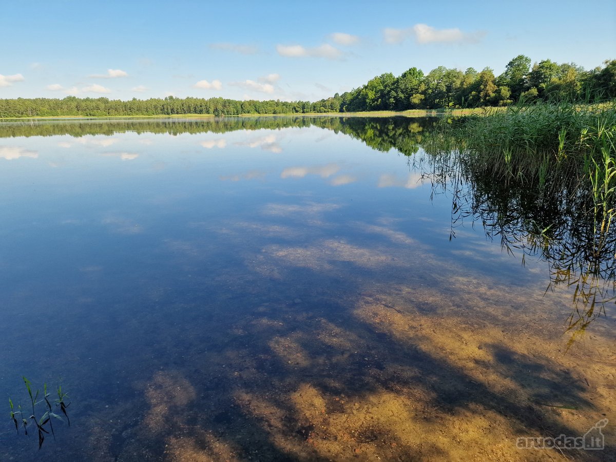 Telšių rajone 13,5 Ha sklypas ant Baltežerio - nuotraukos Nr. 3