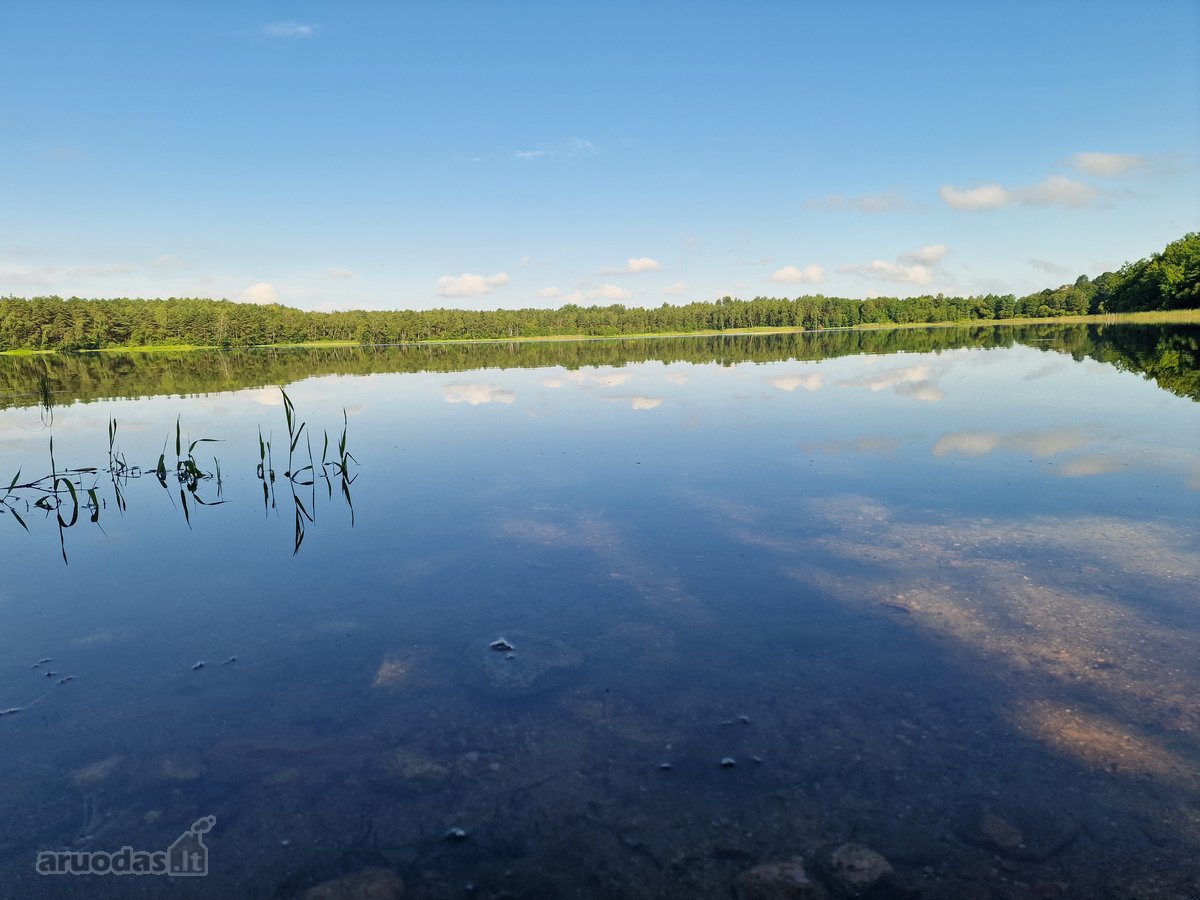 Telšių rajone 13,5 Ha sklypas ant Baltežerio - nuotraukos Nr. 8