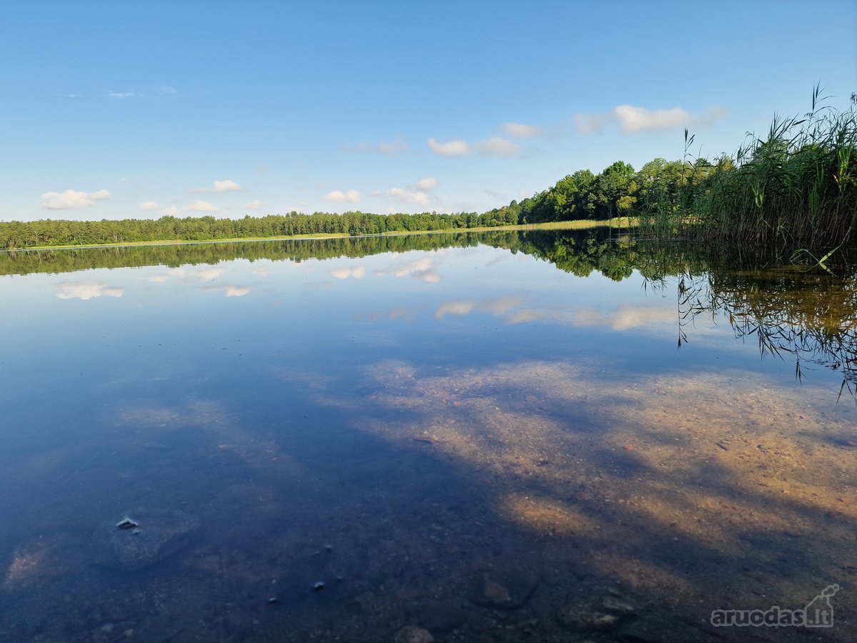 Telšių rajone 13,5 Ha sklypas ant Baltežerio - nuotraukos Nr. 10