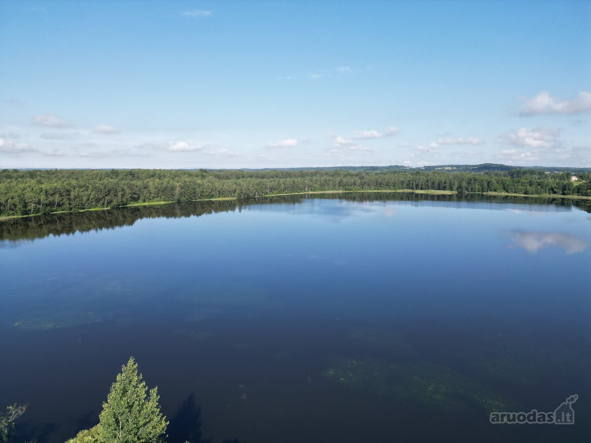 Telšių rajone 13,5 Ha sklypas ant Baltežerio - nuotraukos Nr. 11