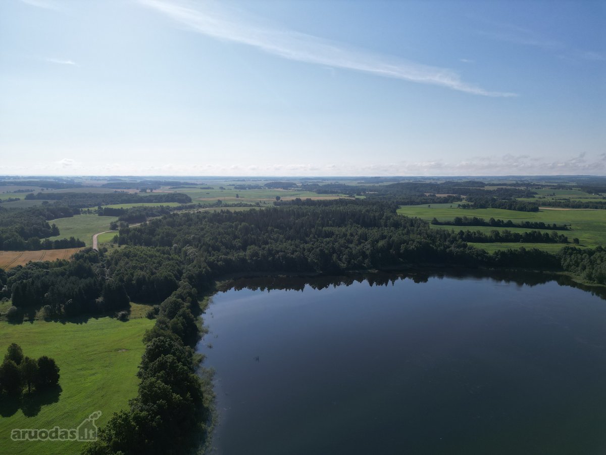 Telšių rajone 13,5 Ha sklypas ant Baltežerio - nuotraukos Nr. 12