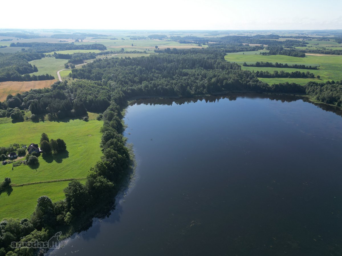 Telšių rajone 13,5 Ha sklypas ant Baltežerio - nuotraukos Nr. 13