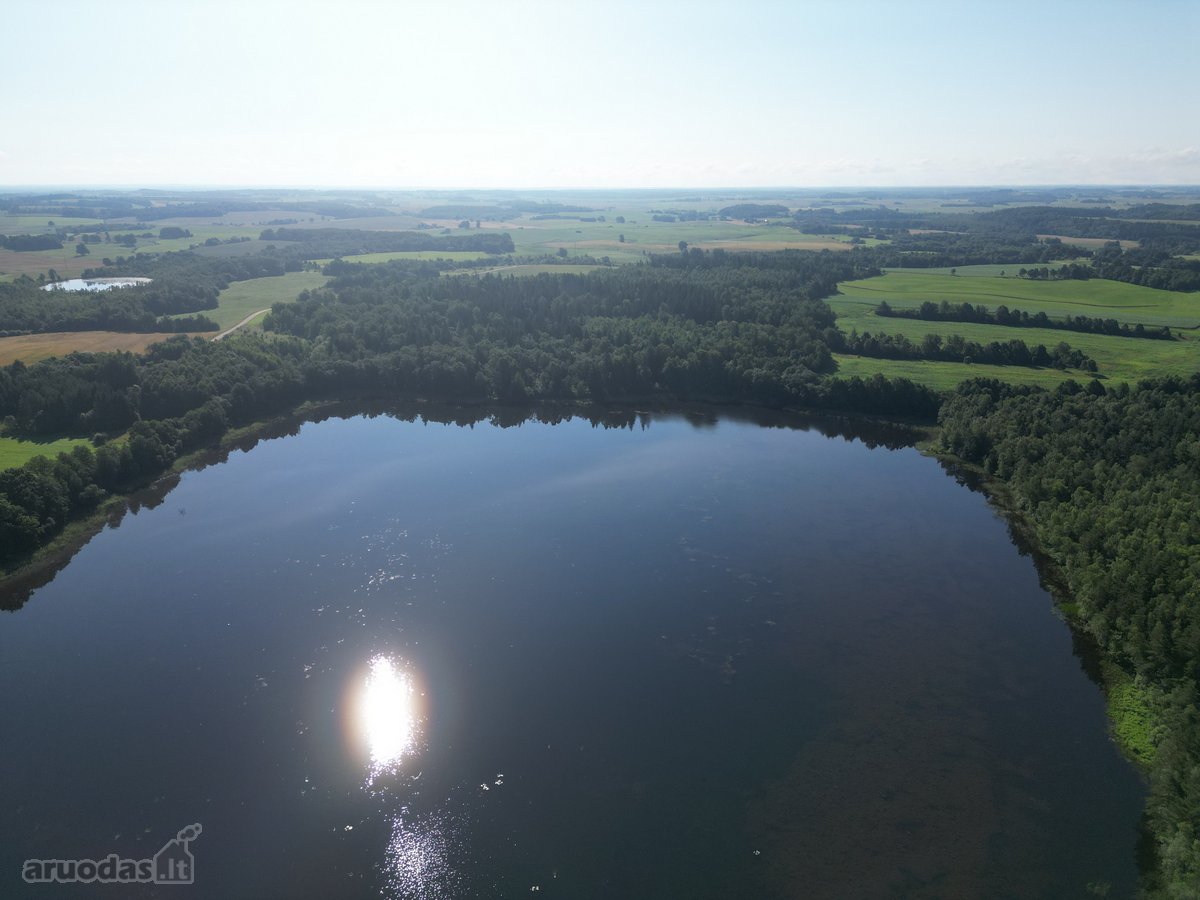 Telšių rajone 13,5 Ha sklypas ant Baltežerio - nuotraukos Nr. 16