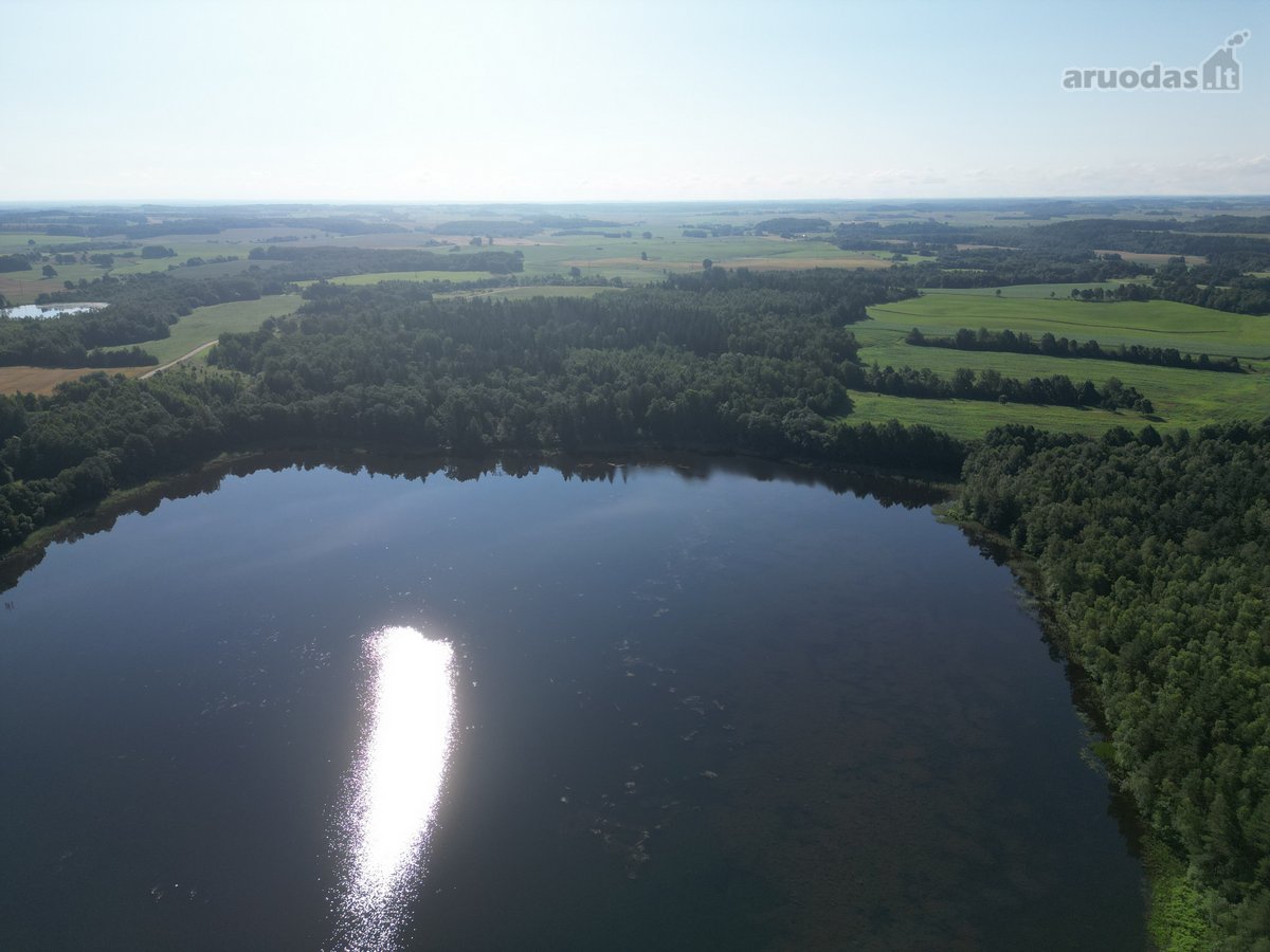 Telšių rajone 13,5 Ha sklypas ant Baltežerio - nuotraukos Nr. 17