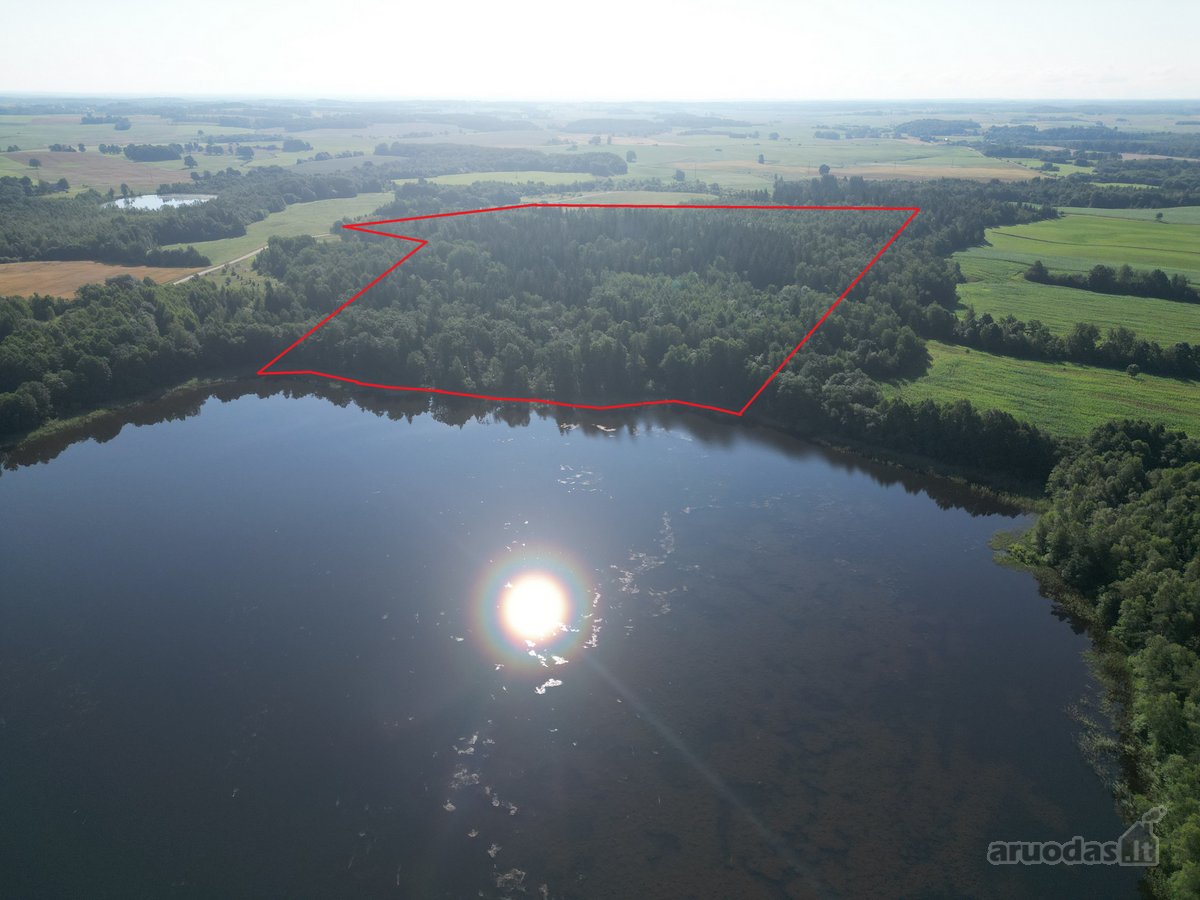 Telšių rajone 13,5 Ha sklypas ant Baltežerio - nuotraukos Nr. 19