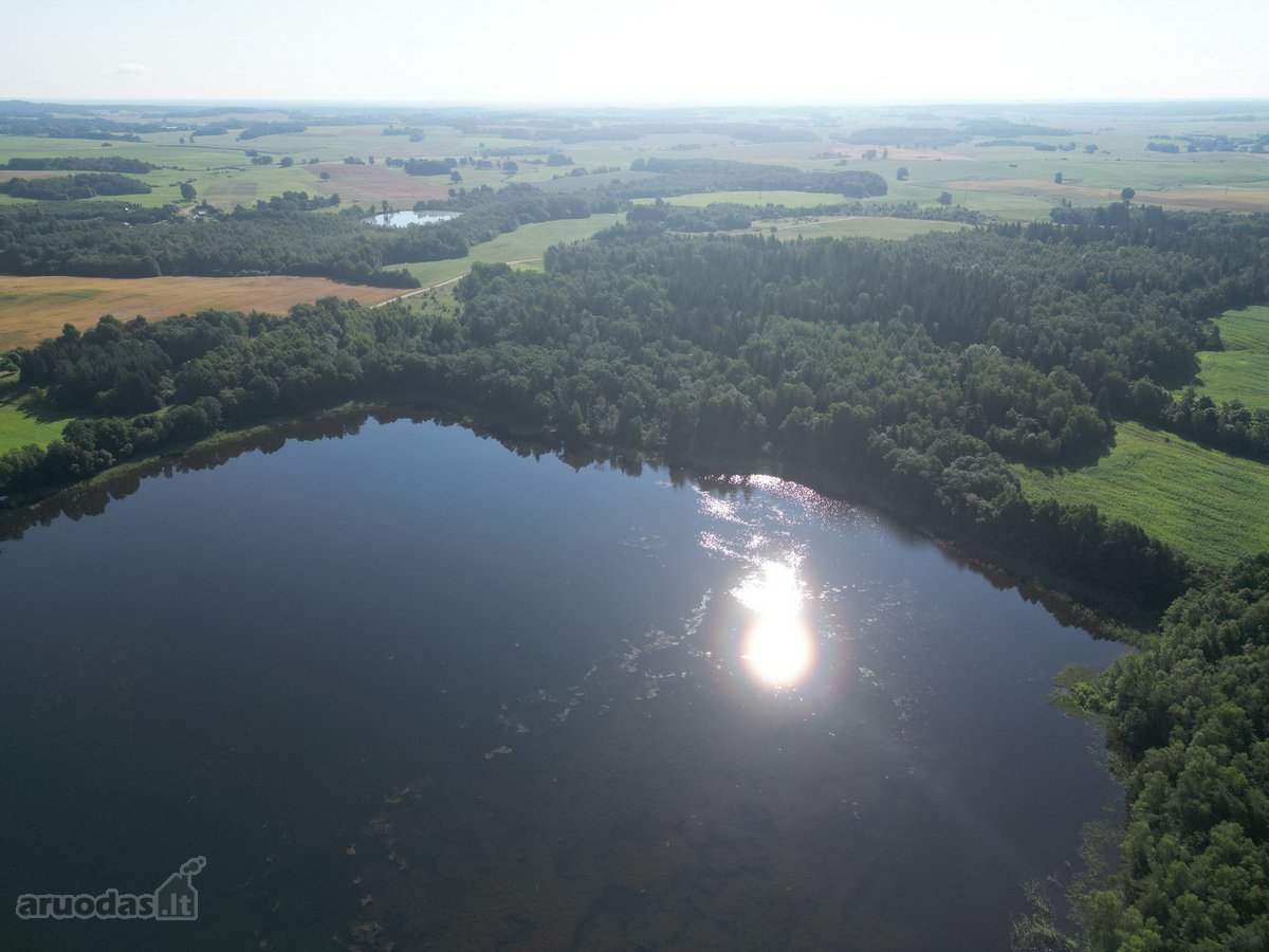Telšių rajone 13,5 Ha sklypas ant Baltežerio - nuotraukos Nr. 20