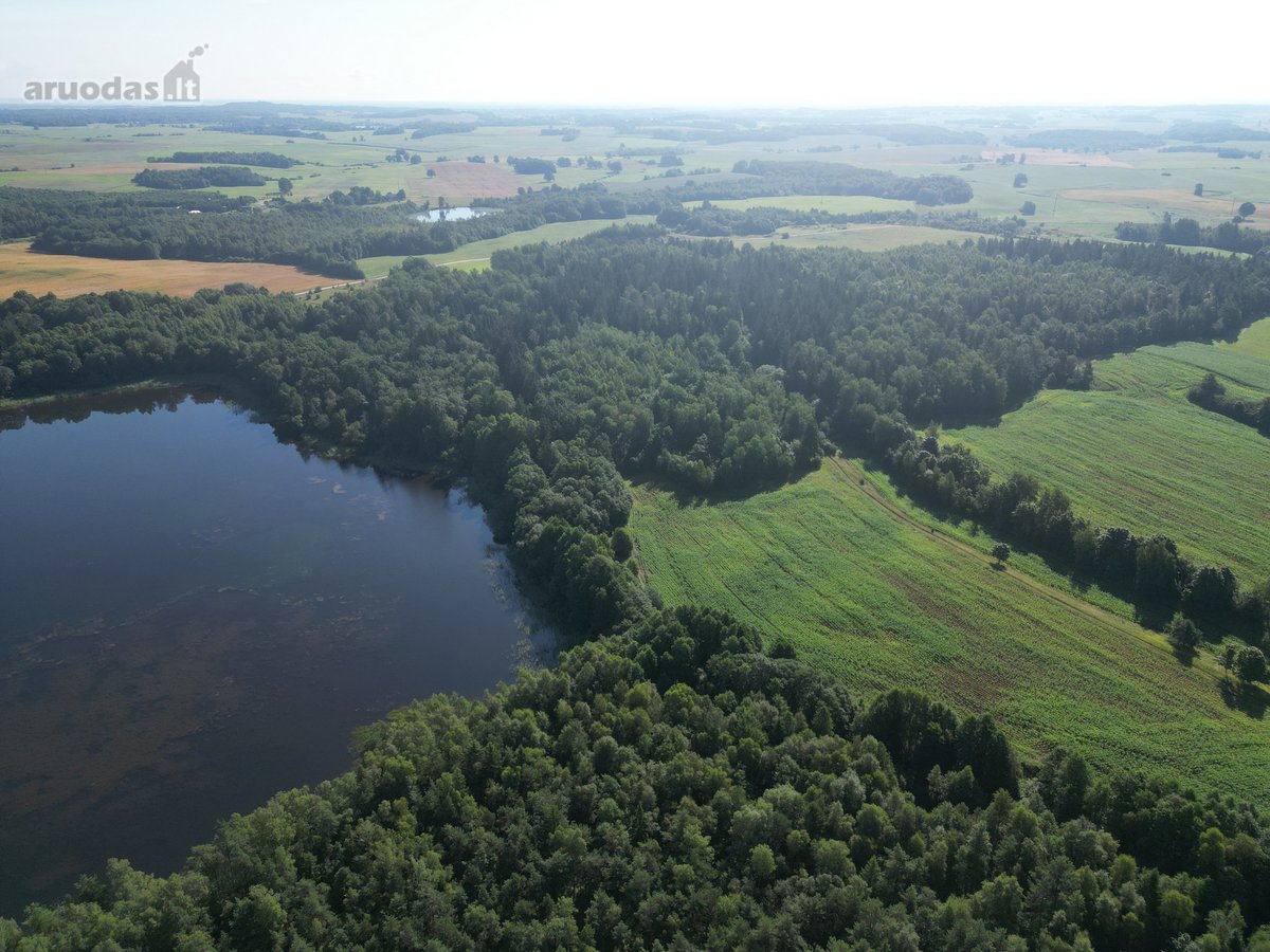 Telšių rajone 13,5 Ha sklypas ant Baltežerio - nuotraukos Nr. 21