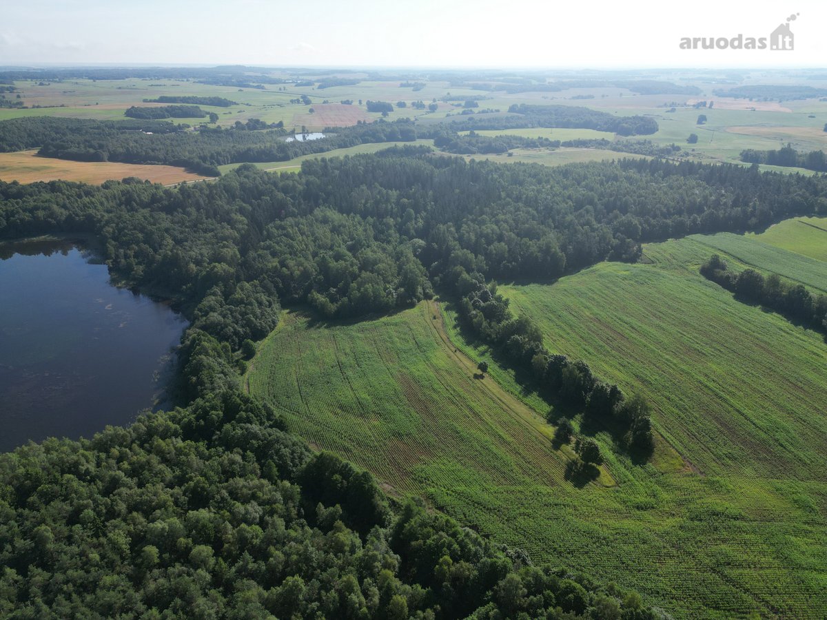 Telšių rajone 13,5 Ha sklypas ant Baltežerio - nuotraukos Nr. 22