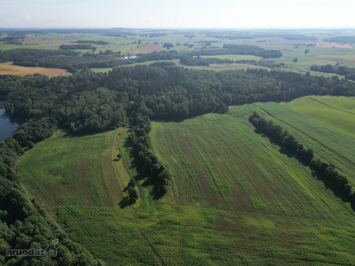 Telšių rajone 13,5 Ha sklypas ant Baltežerio - nuotraukos Nr. 23