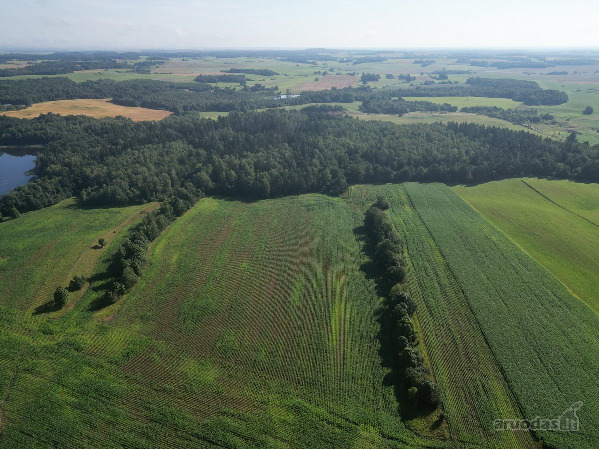 Telšių rajone 13,5 Ha sklypas ant Baltežerio - nuotraukos Nr. 24