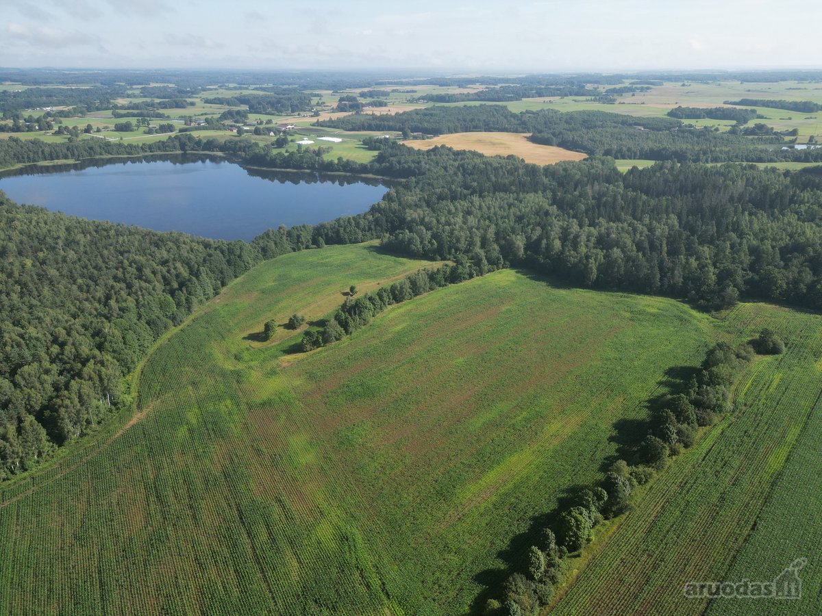 Telšių rajone 13,5 Ha sklypas ant Baltežerio - nuotraukos Nr. 25