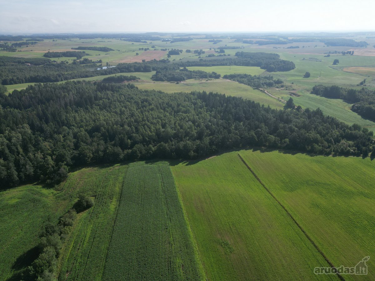 Telšių rajone 13,5 Ha sklypas ant Baltežerio - nuotraukos Nr. 26