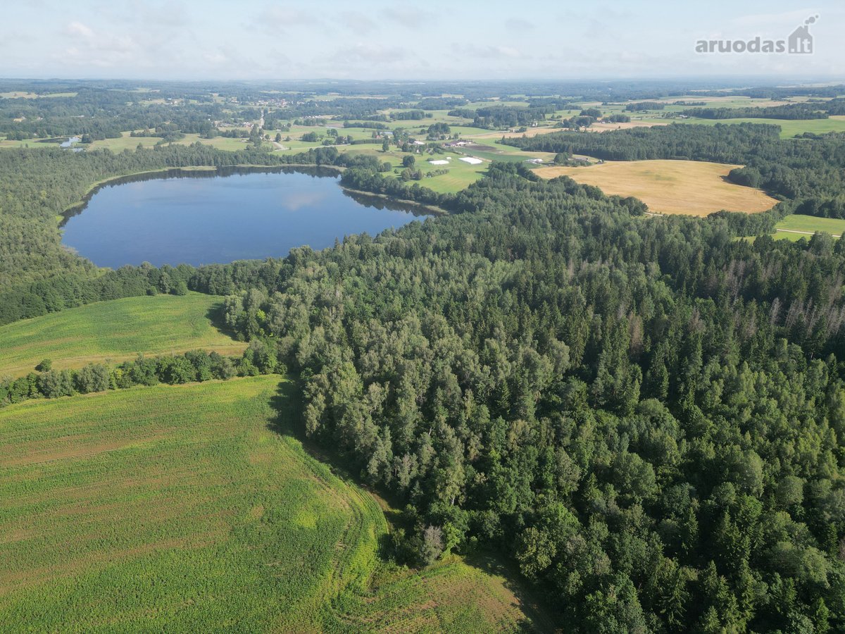 Telšių rajone 13,5 Ha sklypas ant Baltežerio - nuotraukos Nr. 28