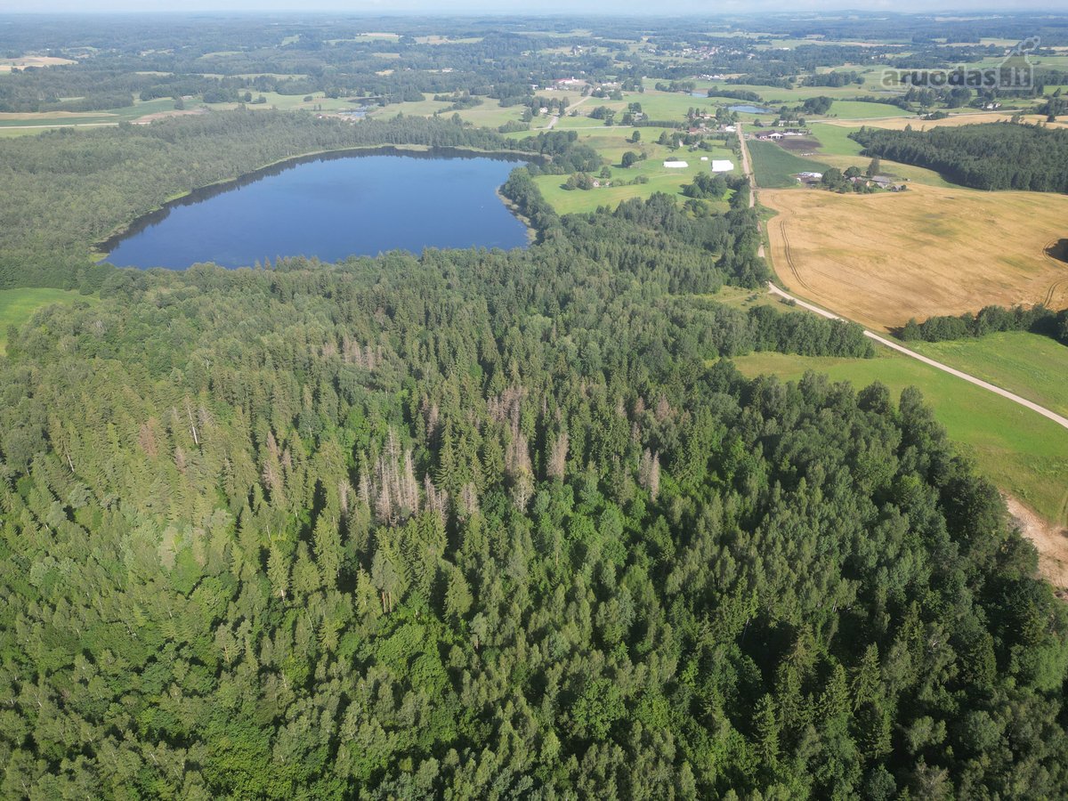 Telšių rajone 13,5 Ha sklypas ant Baltežerio - nuotraukos Nr. 31