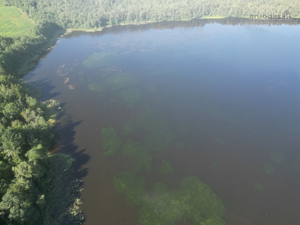 Telšių rajone 13,5 Ha sklypas ant Baltežerio - nuotraukos Nr. 38