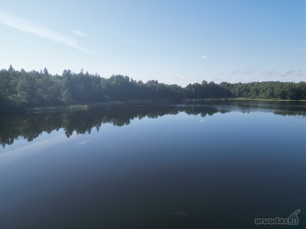 Telšių rajone 13,5 Ha sklypas ant Baltežerio - nuotraukos Nr. 41