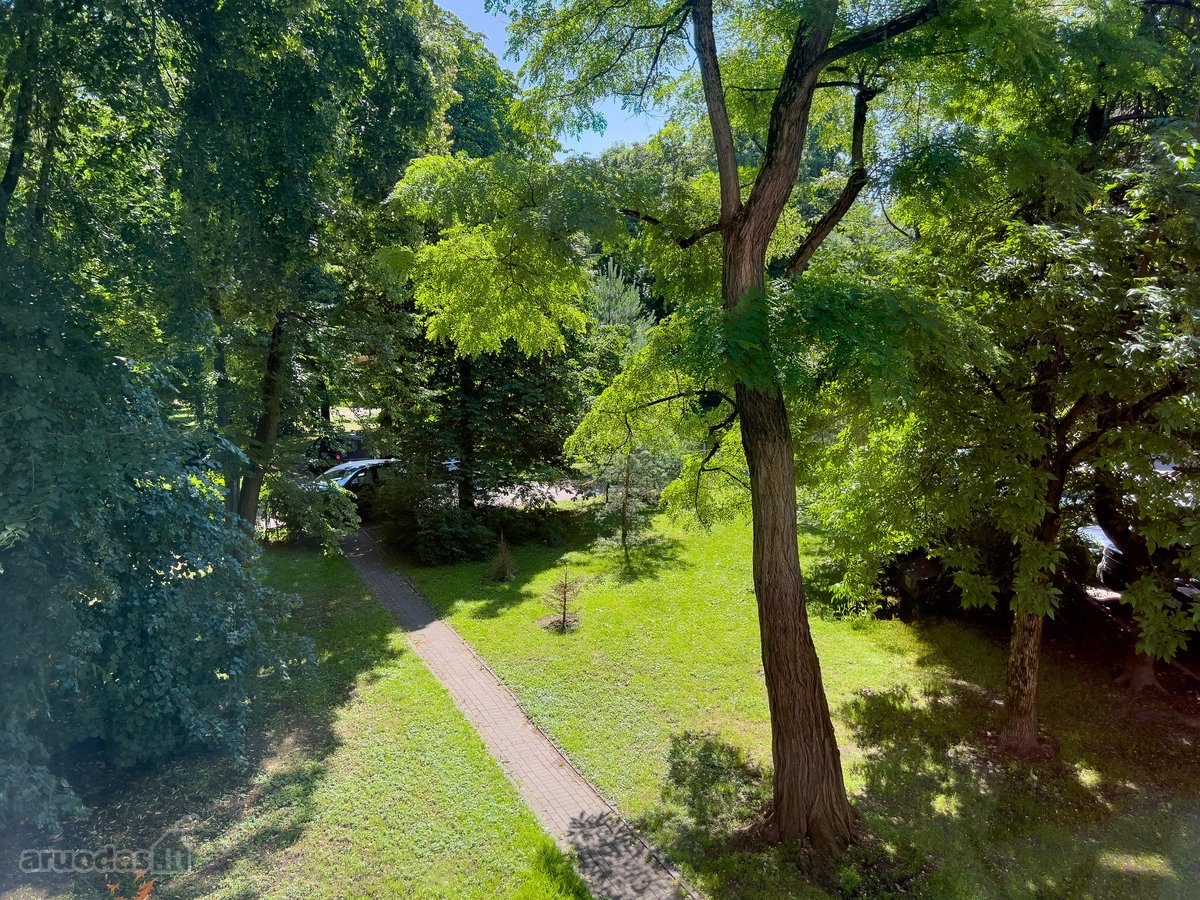 Šviesus Ir Jaukus Dviejų Kambarių Butas - nuotraukos Nr. 12