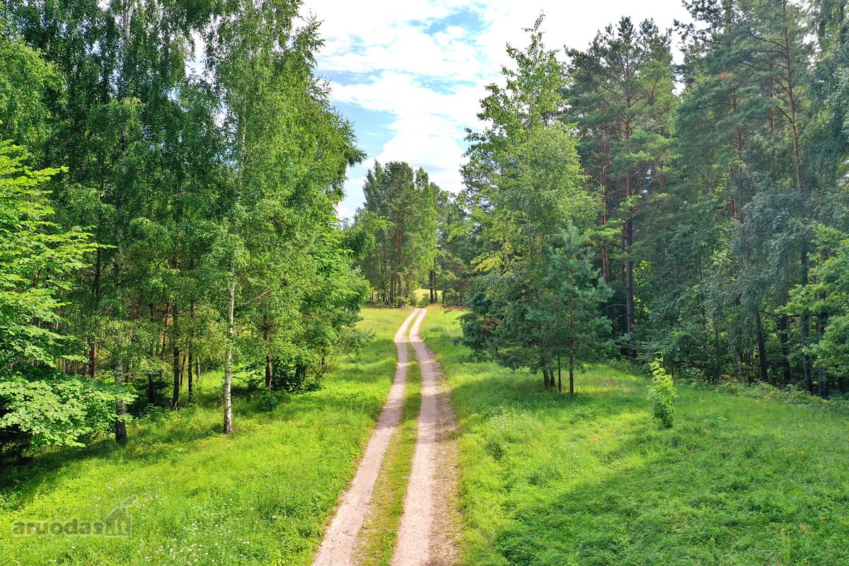 Sodybviete 1,60 ha su 200m smeletos ežero - nuotraukos Nr. 2